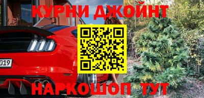 гидра Кинель