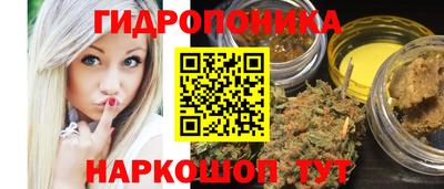 гидра Кинель
