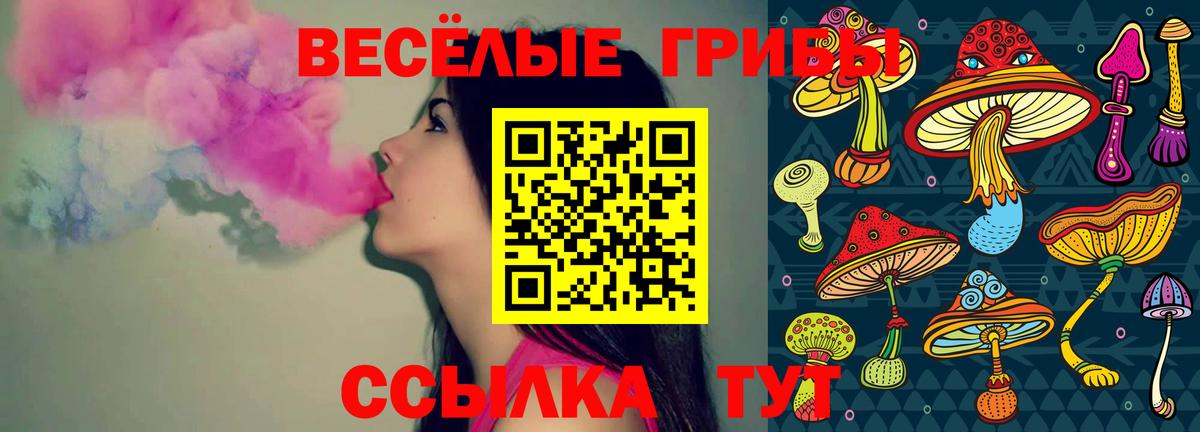 купить наркоту  Псилоцибиновые грибы Psilocybe  Заринск  Вход с VPN  Псилоцибиновые грибы Psilocybe 